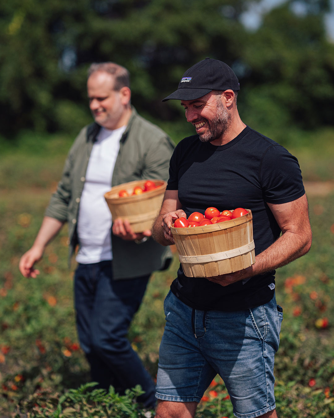 Stefano Faita et Michele Forgione cueillent des tomates dans un champ.